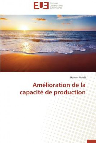 Kniha Am lioration de la Capacit  de Production Hatem Nehdi