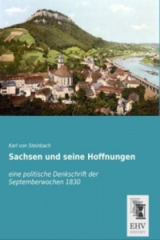 Buch Sachsen und seine Hoffnungen Karl von Steinbach