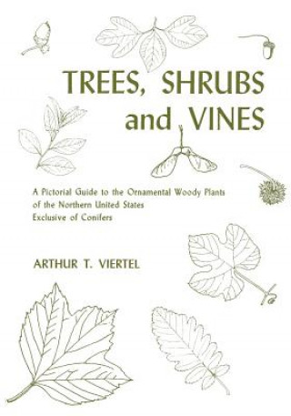 Kniha Trees, Shrubs and Vines Arthur T Viertel