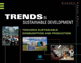 Kniha Trends in sustainable development United Nations