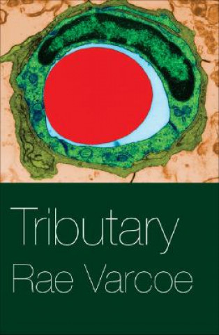Kniha Tributary Rae Varcoe