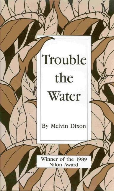 Kniha Trouble the Water Dixon