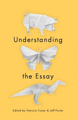 Knjiga Understanding the Essay 