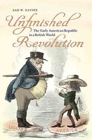 Könyv Unfinished Revolution Sam W. Haynes