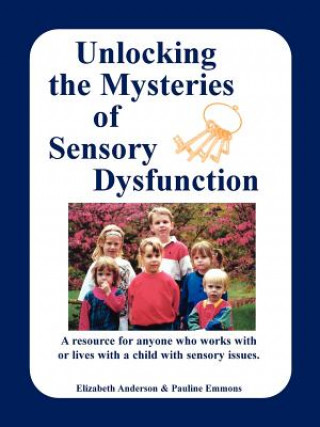 Buch Unlocking the Mysteries of Sensory Disfunction Pauline Emmons