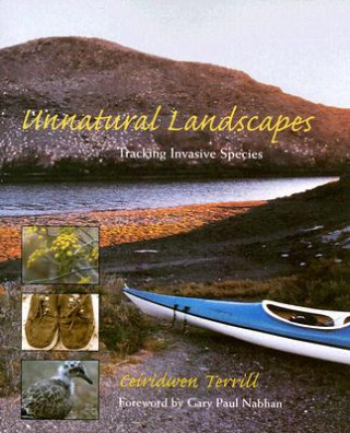 Kniha Unnatural Landscapes Ceiridwen Terrill