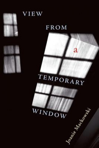 Knjiga View from a Temporary Window Joanie Mackowski