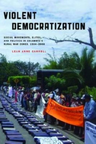 Knjiga Violent Democratization Leah Anne Carroll