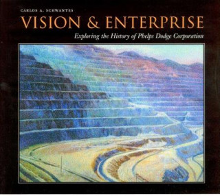 Carte Vision & Enterprise Carlos A. Schwantes