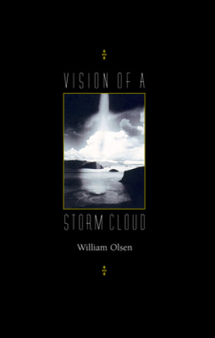 Buch Vision of a Storm Cloud William Olsen