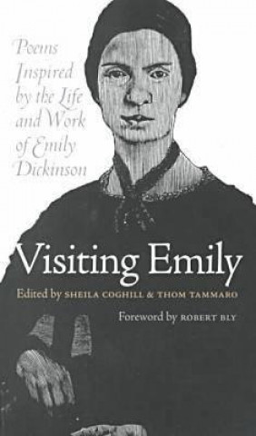 Buch Visiting Emily Robert W. Bly