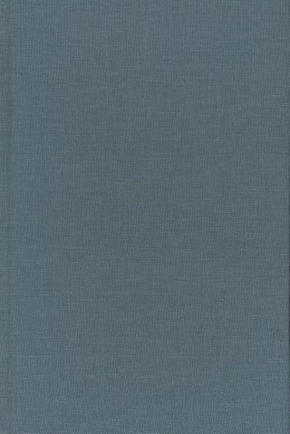 Książka Void of Ethics Patrizia C. McBride