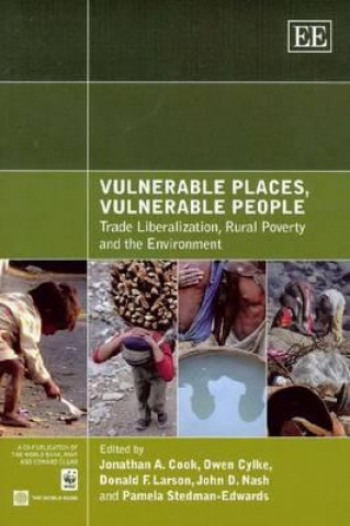 Kniha Vulnerable Places, Vulnerable People Pamela Stedman-Edwards