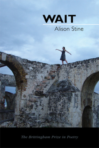 Βιβλίο Wait Alison Stine