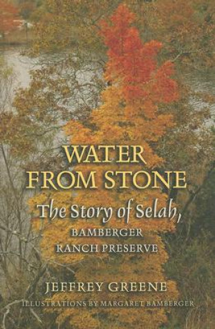 Book Water from Stone Jeffrey Greene