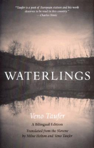 Libro Waterlings Taufer