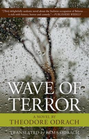 Könyv Wave of Terror Theodore Ordach