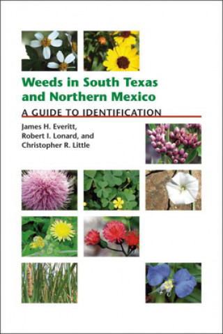 Kniha Weeds in South Texas and Northern Mexico Christopher R. Little