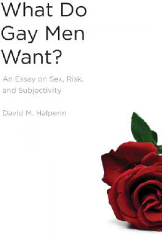 Könyv What Do Gay Men Want? David M. Halperin