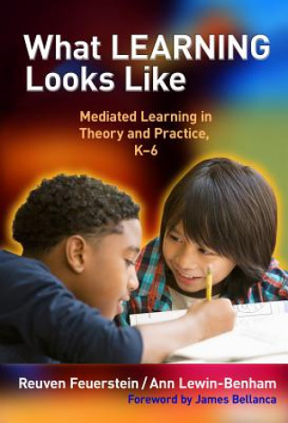 Книга What Learning Looks Like Ann Lewin-Benham