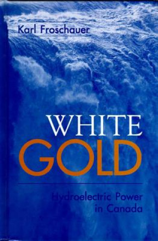 Buch White Gold Froschauer