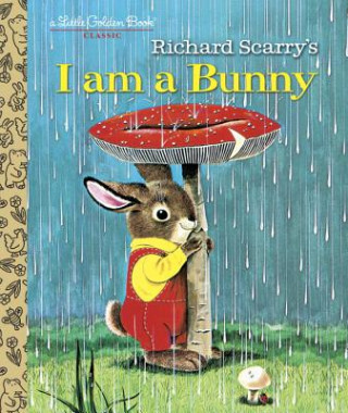 Kniha I Am A Bunny Ole Risom
