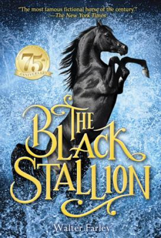 Książka Black Stallion Walter Farley