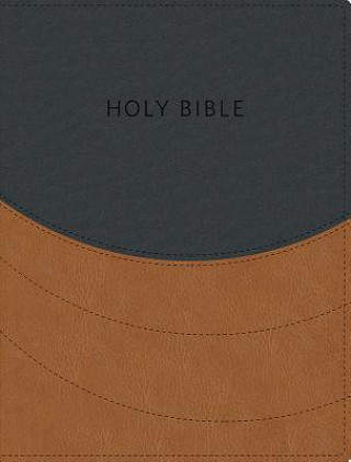 Knjiga KJV Ministry Essentials Bible Hendrickson Bibles