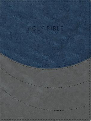 Kniha KJV Ministry Essentials Bible Hendrickson Bibles