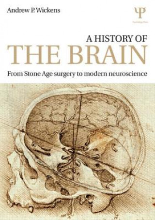 Książka History of the Brain Andrew P. Wickens