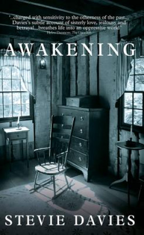 Kniha Awakening Stevie Davies