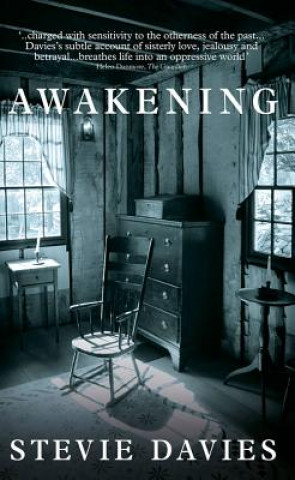 Book Awakening Stevie Davies