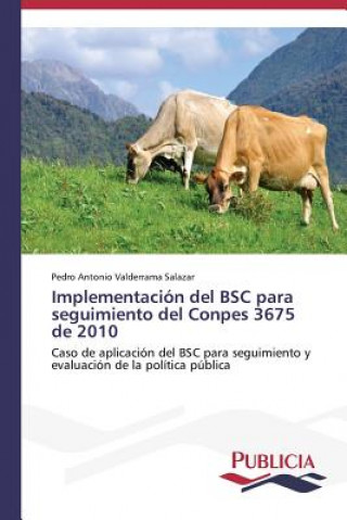 Livre Implementacion del BSC para seguimiento del Conpes 3675 de 2010 Pedro Antonio Valderrama Salazar