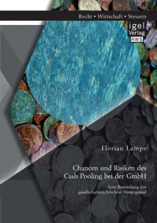 Kniha Chancen und Risiken des Cash Pooling bei der GmbH Florian Lampe