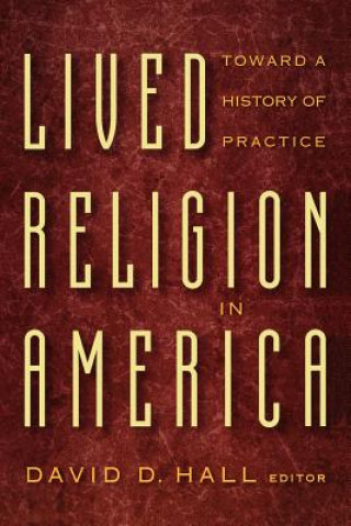 Kniha Lived Religion in America David D. Hall