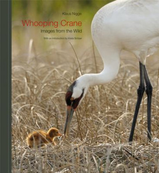 Buch Whooping Crane Klaus Nigge