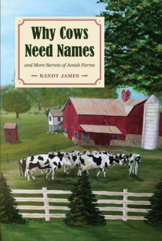 Book Why Cows Need Names And More Secrets of Amish Farms Randy James