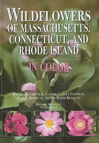 Kniha Wildflowers of Massachusetts, Connecticut, and Rhode Island in Color Arleen Rainis Bessette