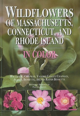 Książka Wildflowers of Massachusetts, Connecticut, and Rhode Island in Color Arleen Rainis Bessette