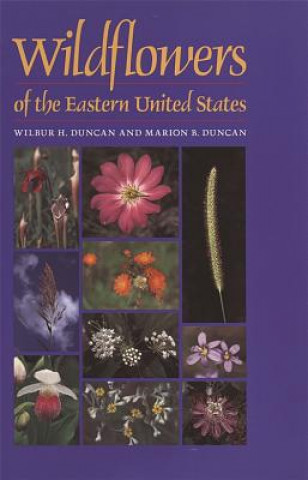 Livre Wildflowers of the Eastern United States Marion B. Duncan