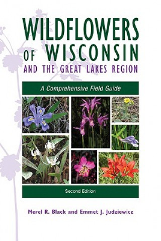 Könyv Wildflowers of Wisconsin and the Great Lakes Region Emmet J. Judziewicz