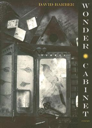 Buch Wonder Cabinet David Barber