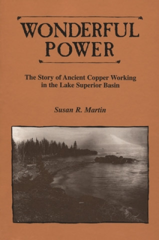 Kniha Wonderful Power Susan R. Martin