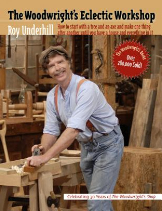 Kniha Woodwright's Eclectic Workshop Roy Underhill