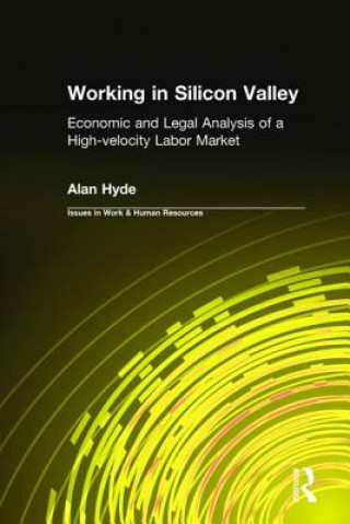 Kniha Working in Silicon Valley Alan Hyde