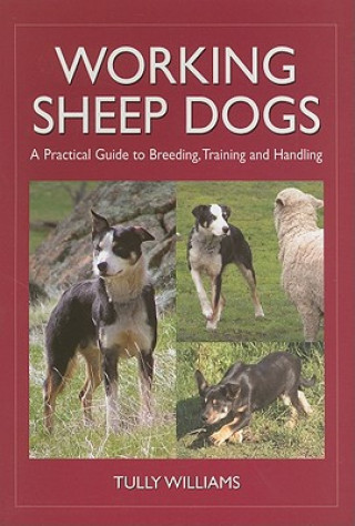 Kniha Working Sheep Dogs Tully Williams
