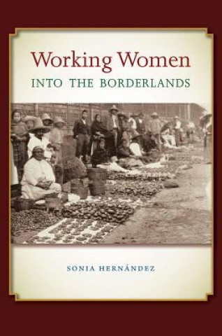 Kniha Working Women into the Borderlands Sonia Hernandez