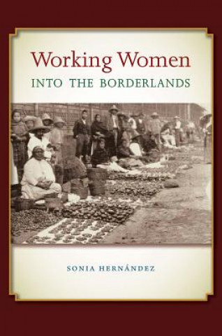 Libro Working Women into the Borderlands Sonia Hernandez