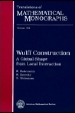 Knjiga Wulff Construction Senya Shlosman