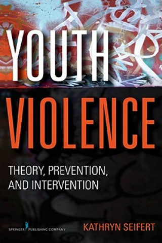 Kniha Youth Violence Seifert